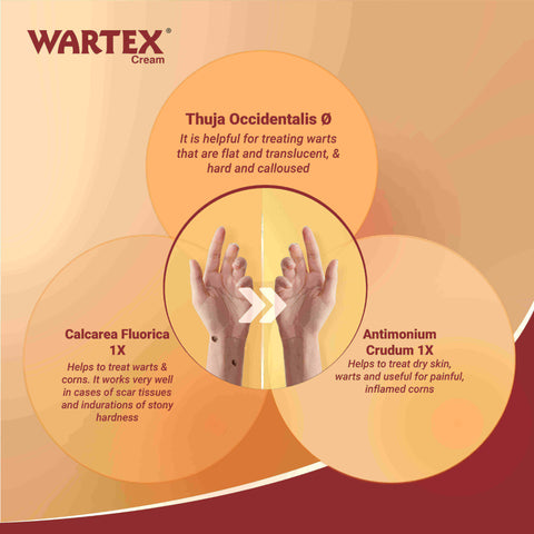 Wartex Cream (Combo Pack of 2 – 20g Each) | Gentle Homoeopathic Remedy for Warts and Corns Wartex Cream (Combo Pack of 2 – 20g Each) | Gentle Homoeopathic Remedy for Warts and Corns