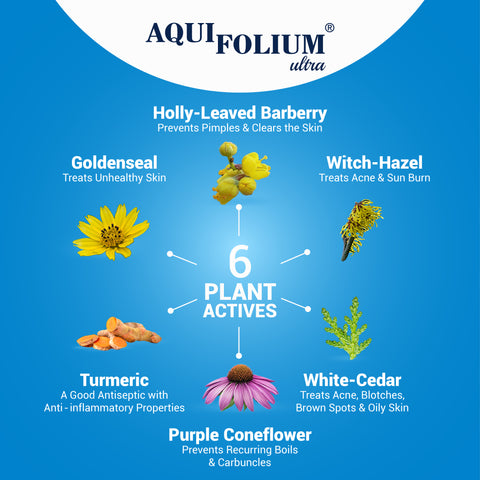 Aquifolium Ultra - 200ml | Homoeopathic Medicine for Acne, Pimples, and Clear Skin