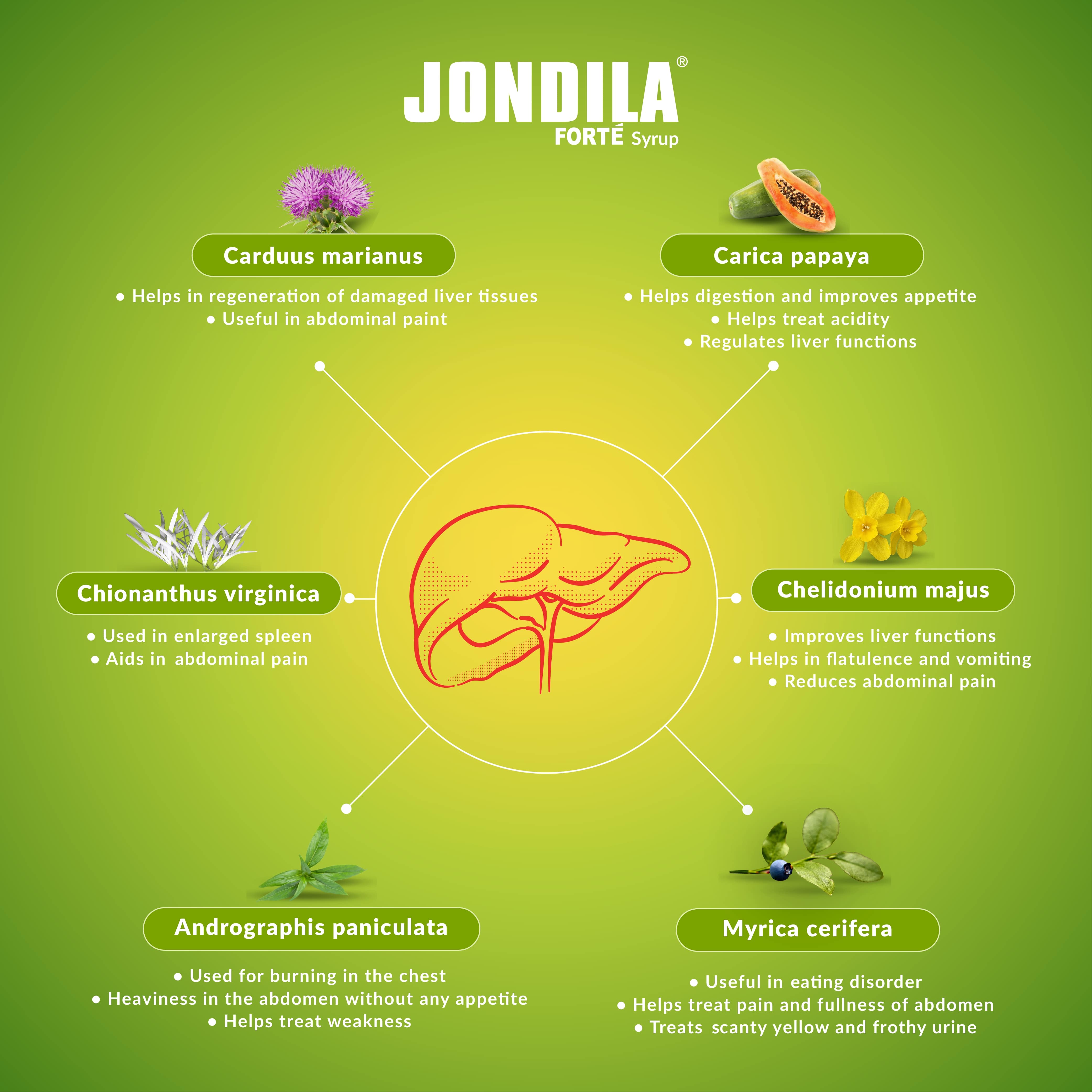 Jondila Forte Syrup