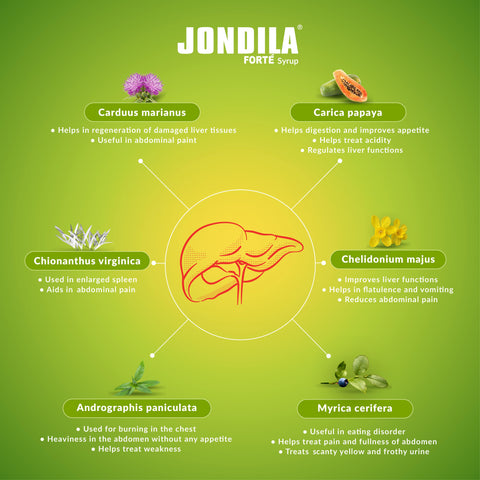Jondila Forte Syrup