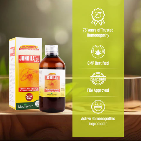 Jondila Sugar Free Syrup