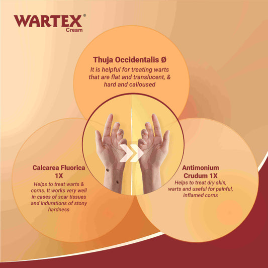 Wartex Cream (Combo Pack of 2 – 20g Each) | Gentle Homoeopathic Remedy for Warts and Corns