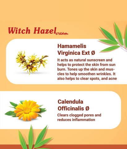 Witch Hazel cream (Combo Pack of 2- 20g Each)