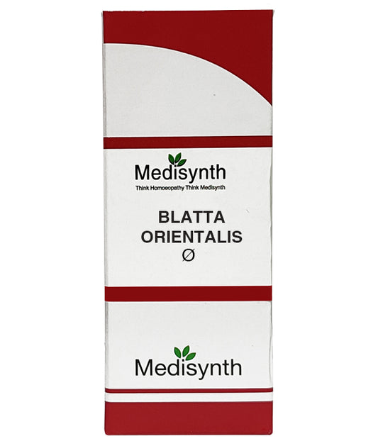 BLATTA ORIENTALIS